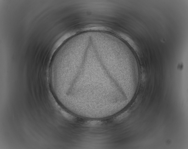 X0000091961282200710041021