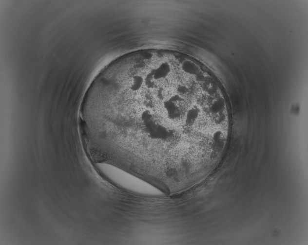 X0000091961283200710041021