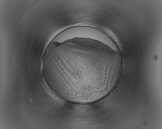 X0000091961284200710041021