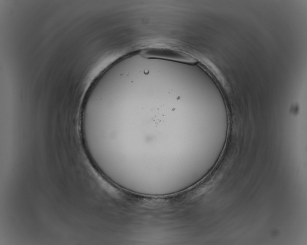 X0000091961285200710041021
