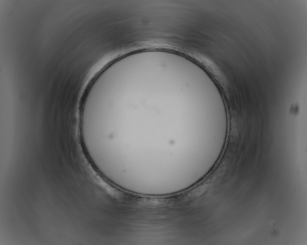 X0000091961286200710041021