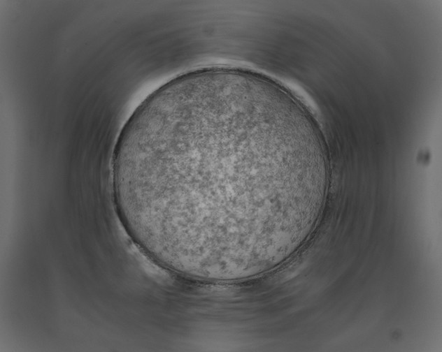 X0000091961287200710041021