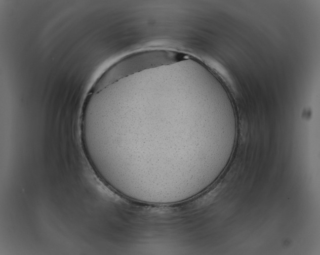 X0000091961288200710041021