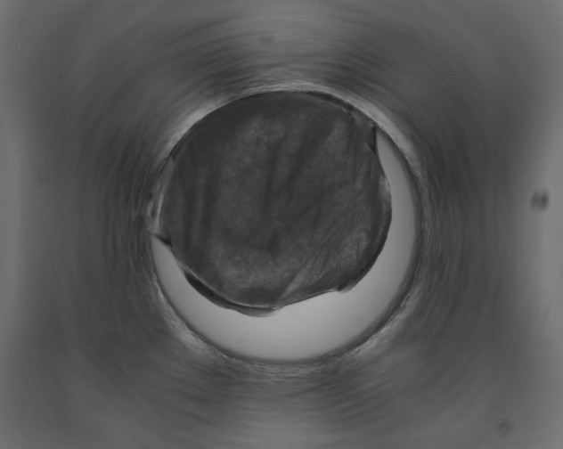 X0000091961289200710041021