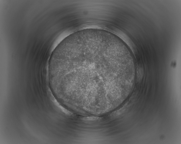 X0000091961290200710041021