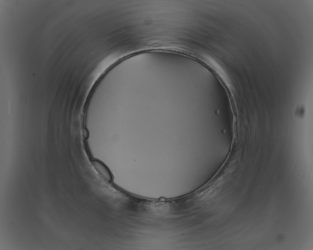 X0000091961291200710041021