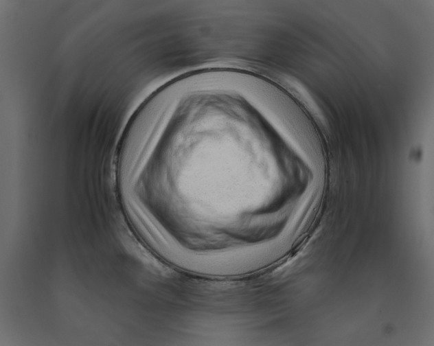 X0000091961292200710041021