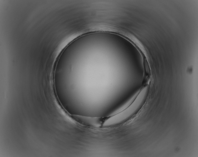 X0000091961293200710041021