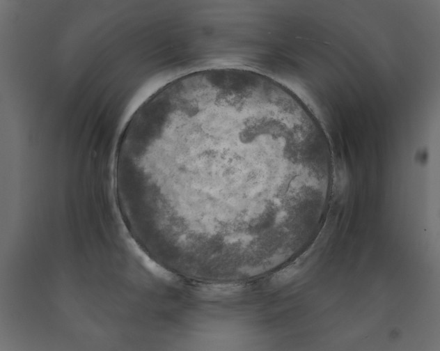 X0000091961294200710041021