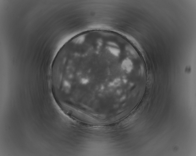 X0000091961295200710041021