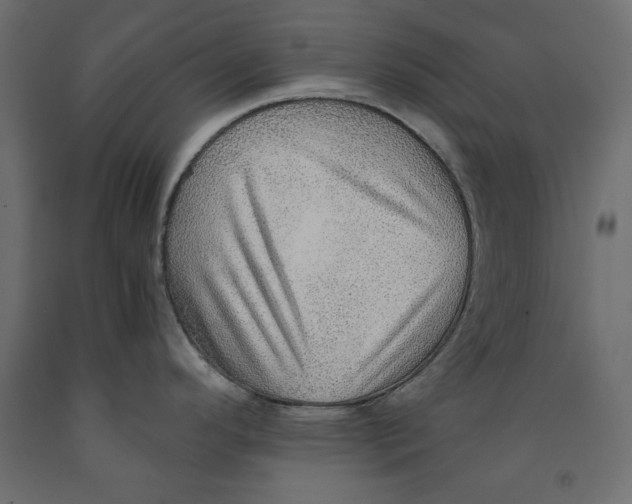 X0000091961296200710041021