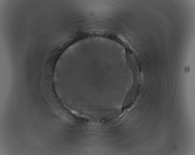 X0000091961297200710041020