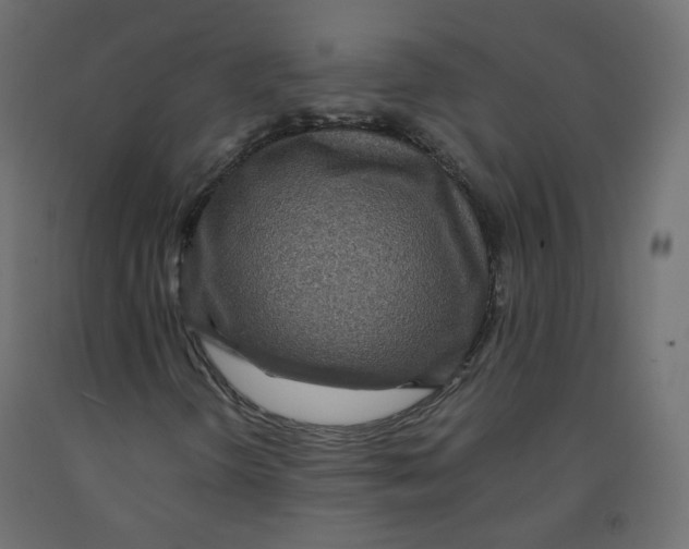 X0000091961298200710041020