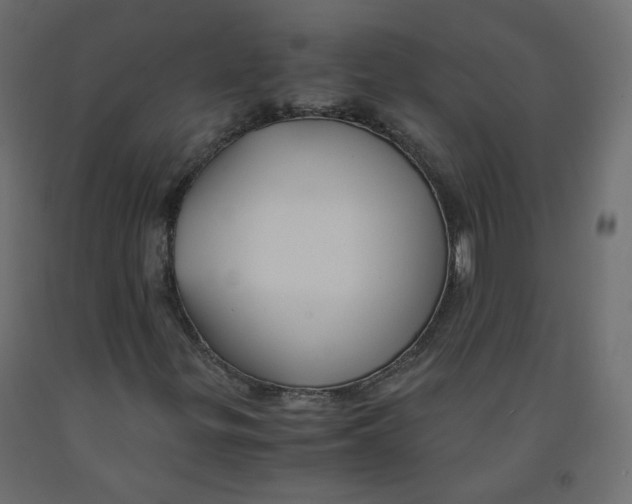 X0000091961299200710041020