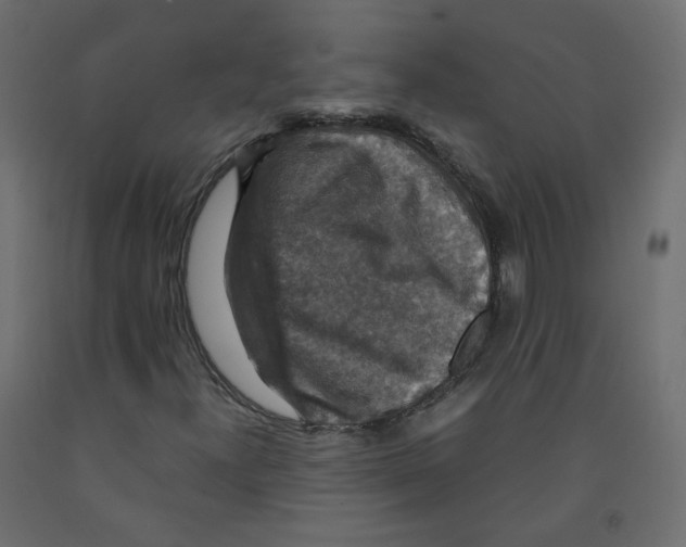X0000091961300200710041020