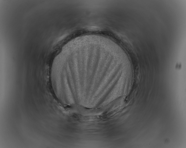X0000091961301200710041020