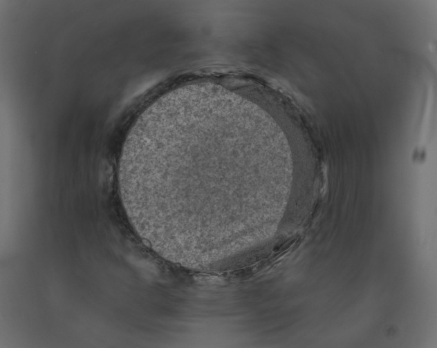 X0000091961302200710041020