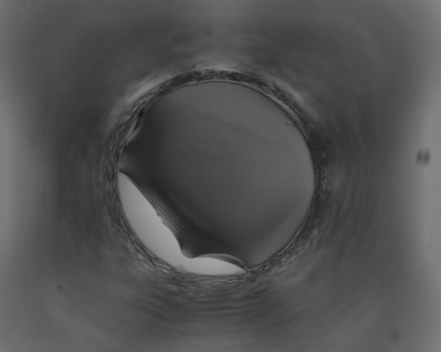 X0000091961303200710041020