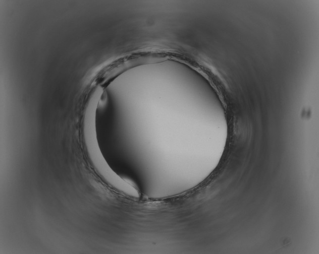 X0000091961304200710041020