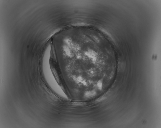 X0000091961305200710041020