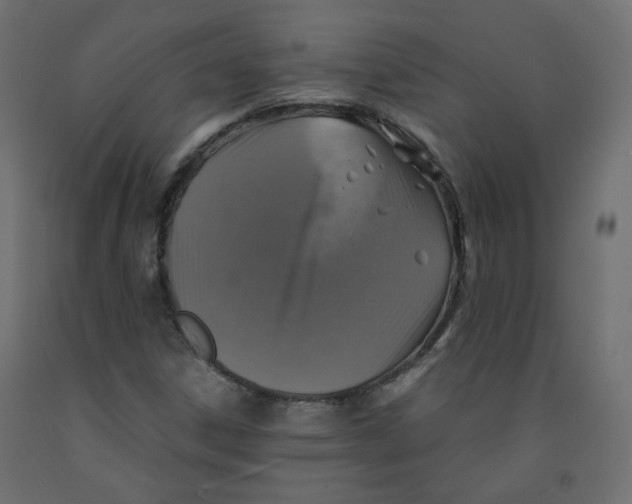 X0000091961306200710041020