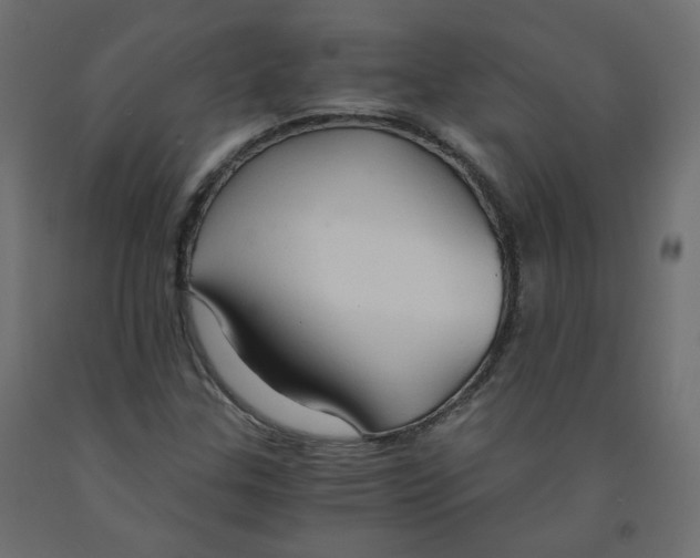 X0000091961307200710041020