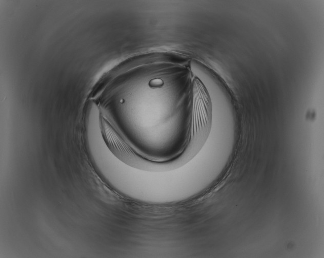 X0000091961308200710041020