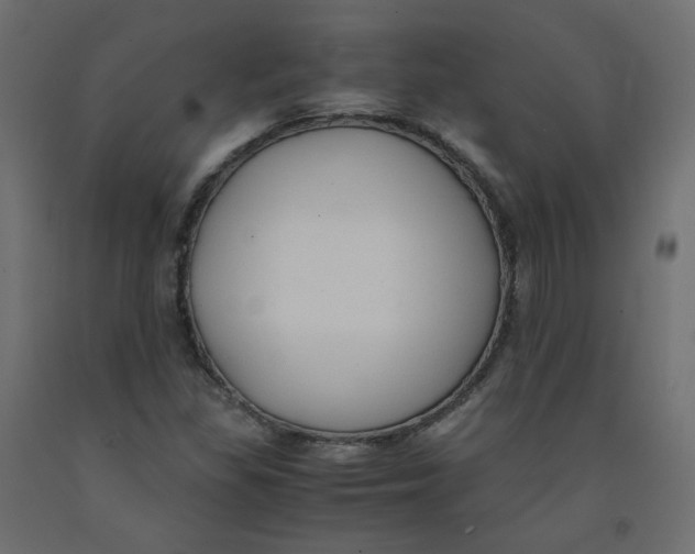 X0000091961309200710041020