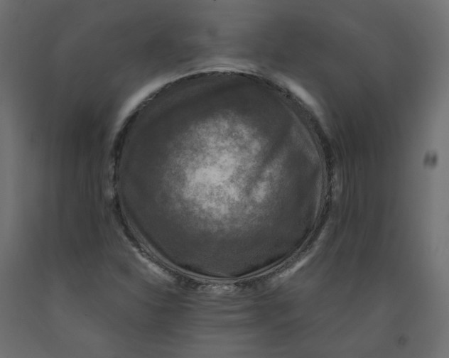 X0000091961310200710041020