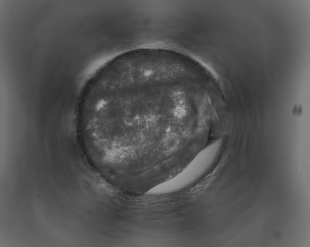 X0000091961311200710041020