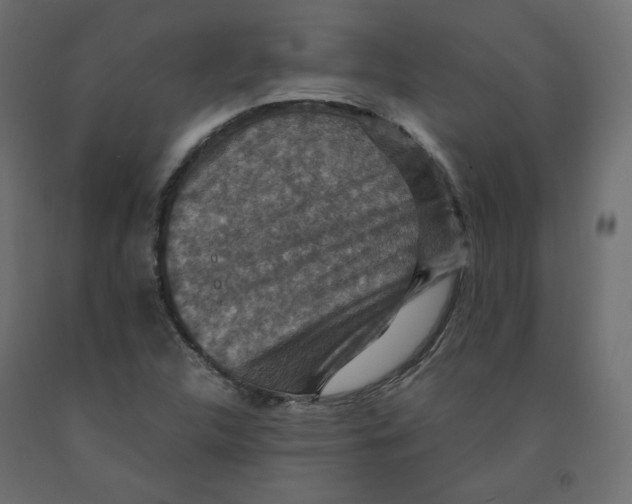 X0000091961312200710041020