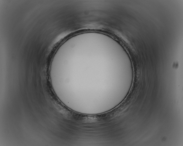 X0000091961315200710041020