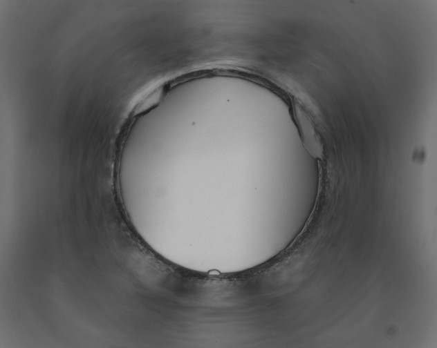 X0000091961316200710041020