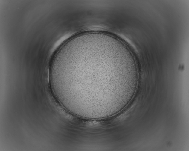 X0000091961317200710041020