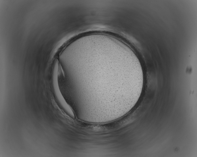 X0000091961318200710041020