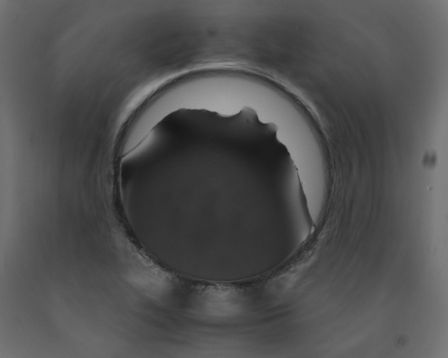 X0000091961319200710041020