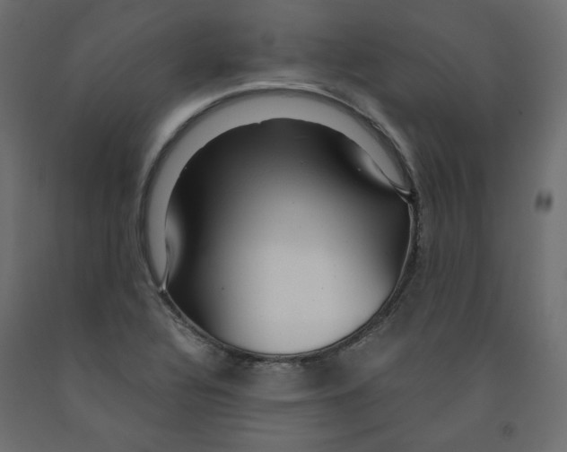 X0000091961320200710041020