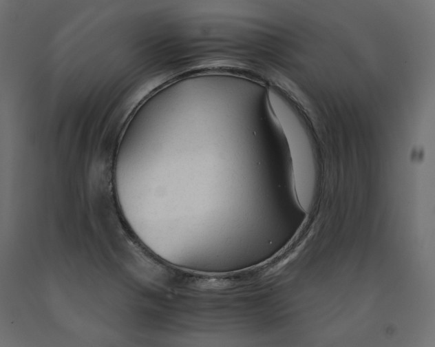 X0000091961321200710041020