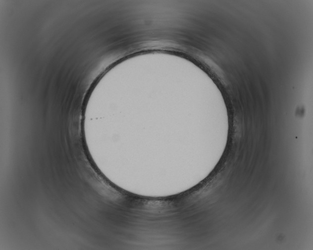 X0000091961322200710041020