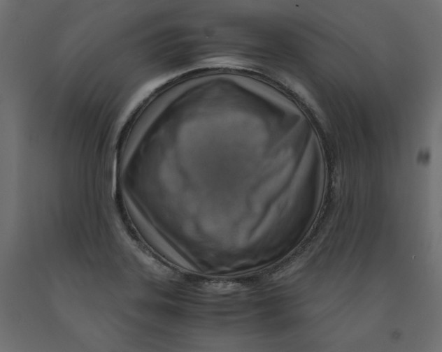 X0000091961323200710041020