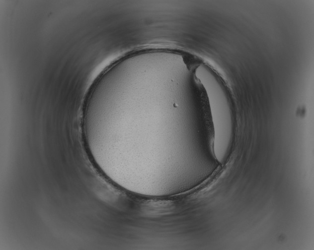 X0000091961325200710041020