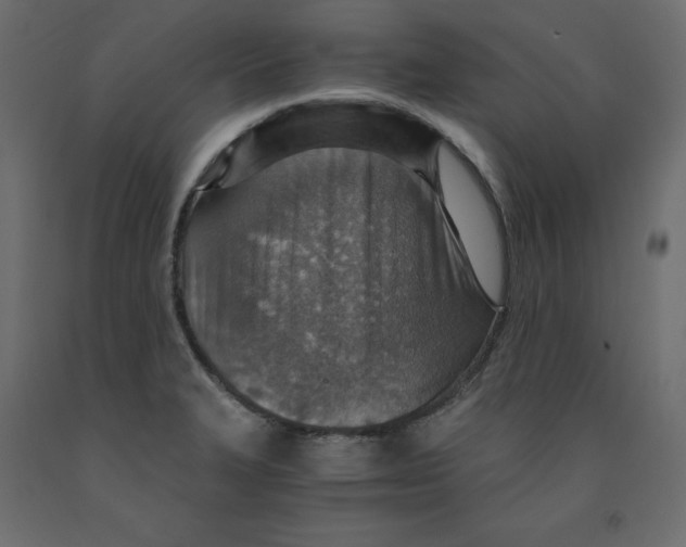 X0000091961327200710041020