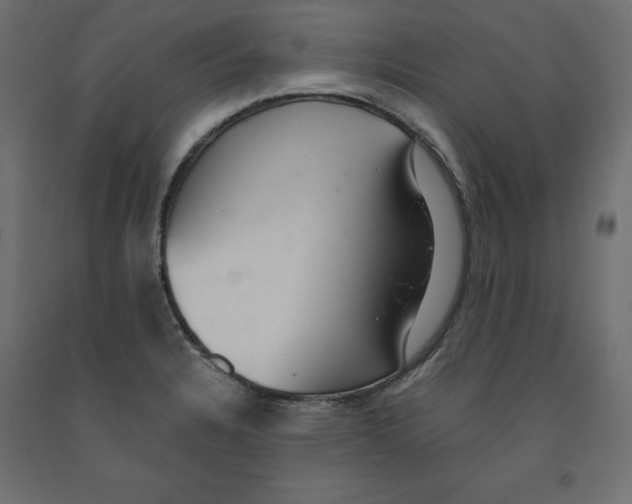 X0000091961328200710041020