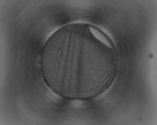 X0000091961329200710041020