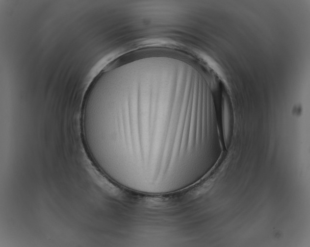 X0000091961330200710041020