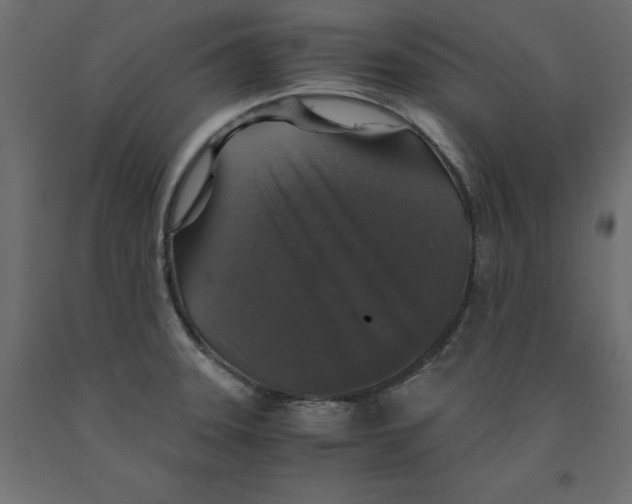 X0000091961331200710041020