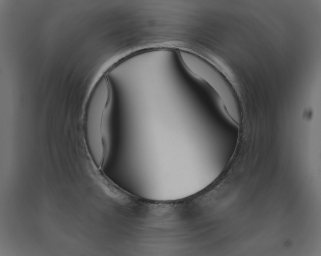 X0000091961332200710041020