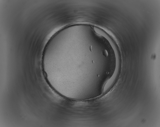 X0000091961333200710041020