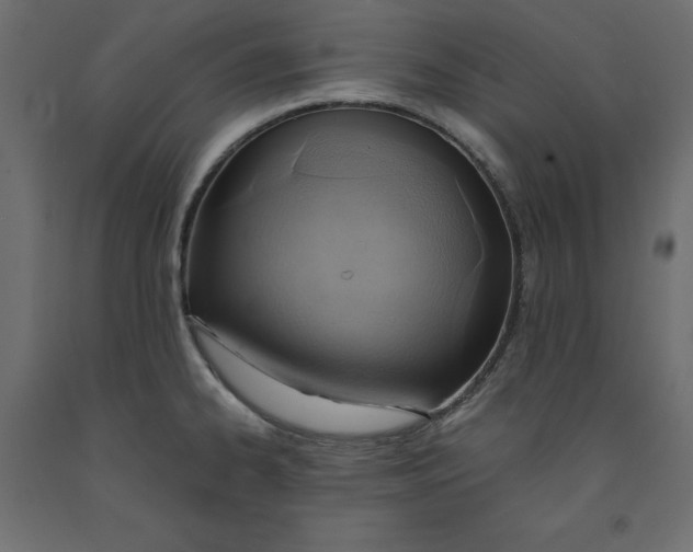 X0000091961334200710041020