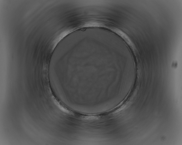 X0000091961337200710041020
